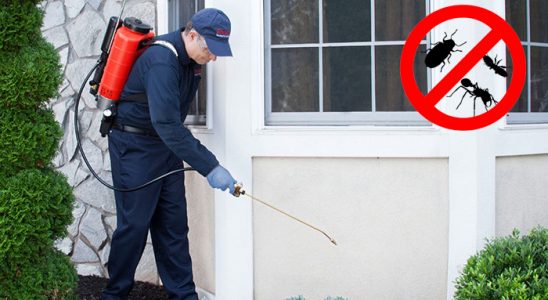 Nergiz Gümüşkurt İlaçlama böcek ilaçlama ve haşere kontrolü — ilaclama-tr.com